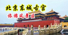 美女在线自慰网站观看中国北京-东城古宫旅游风景区